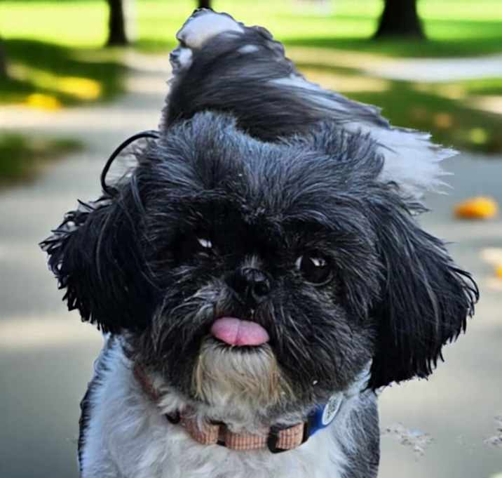 Photo of Bianca