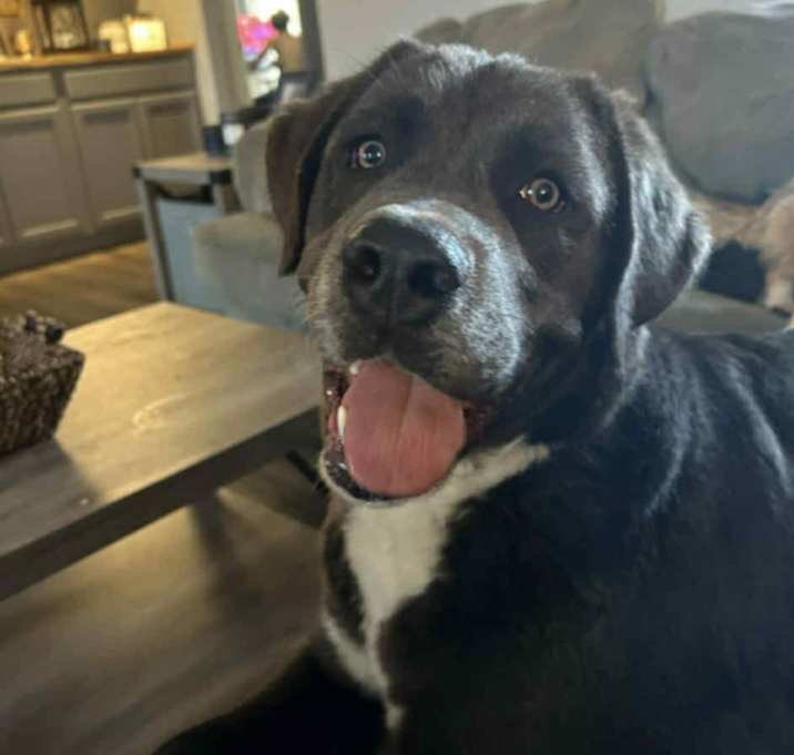 Photo of LUNA