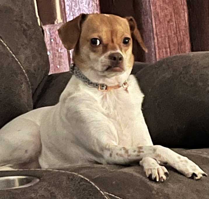 Photo of Gigi