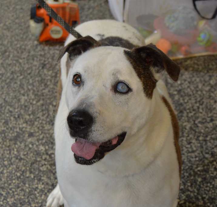 Photo of Libby