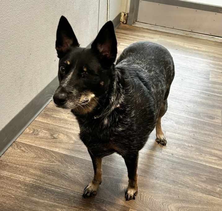 Photo of Lucy