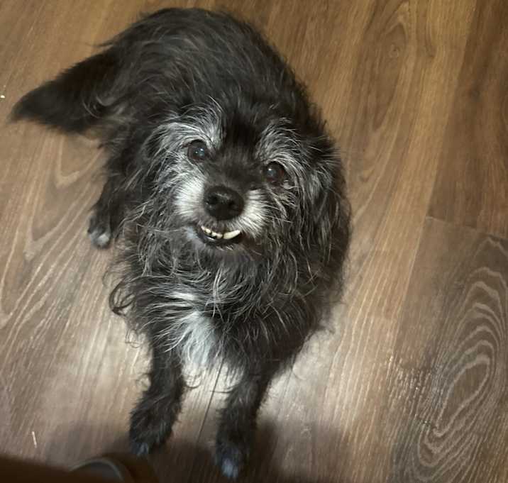 Photo of Max