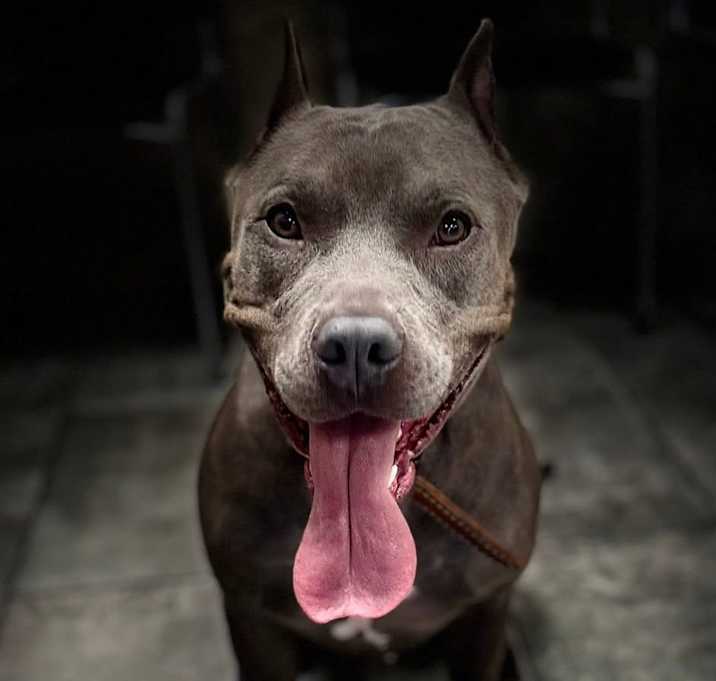 Photo of Cowboy