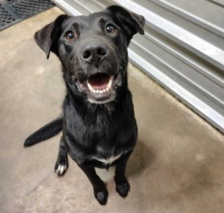 Photo of Cooper