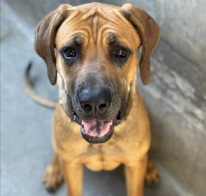 Photo of STELLA