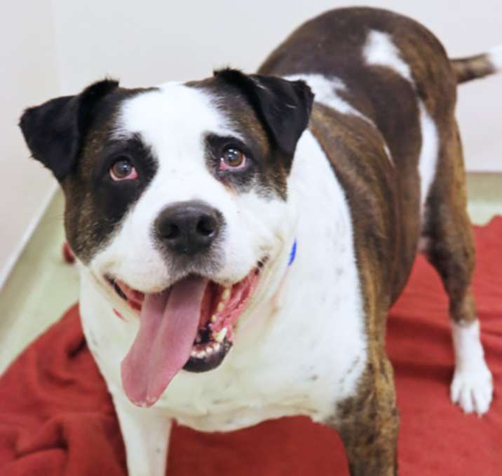 Photo of Major