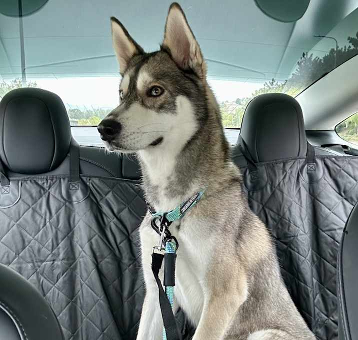 Photo of Diego