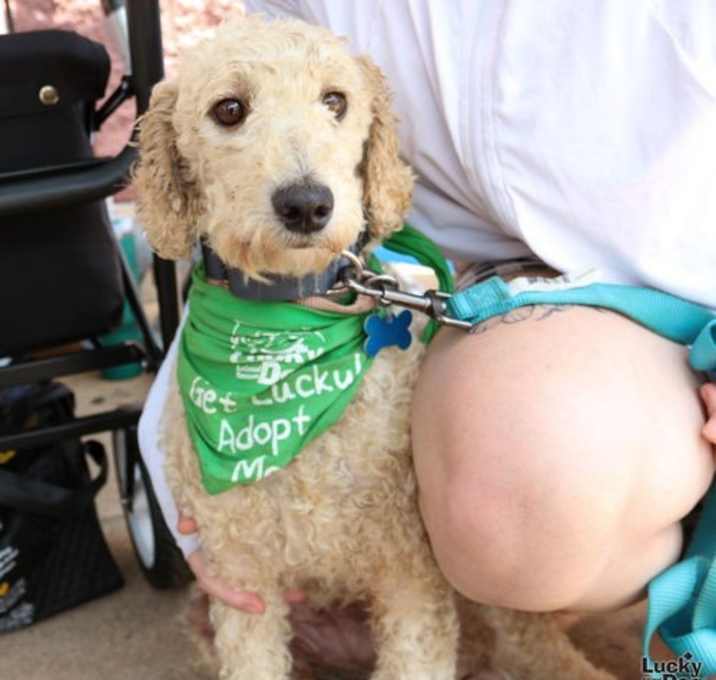 Photo of Dolly