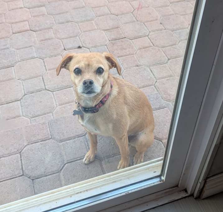 Photo of Darla