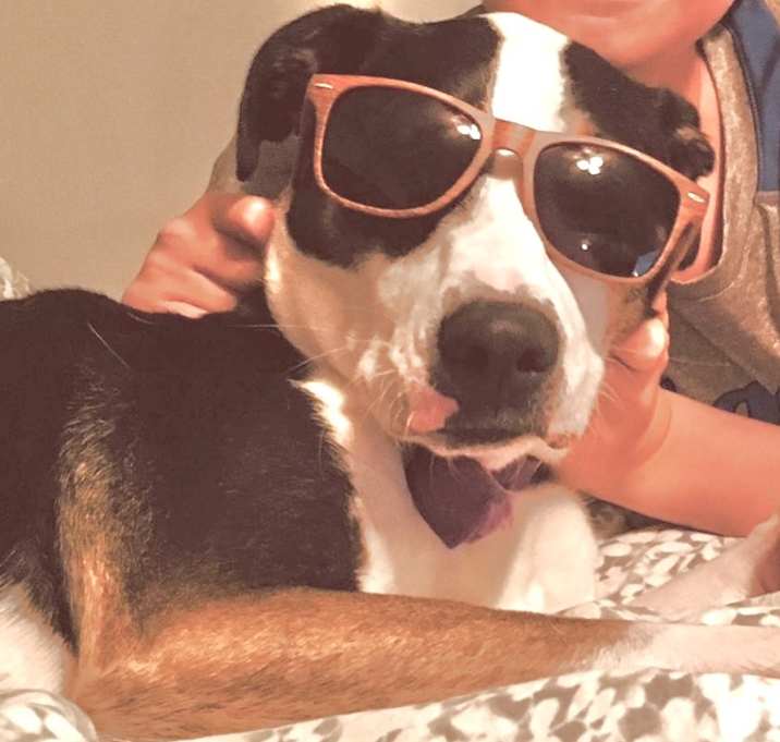 Photo of Harley