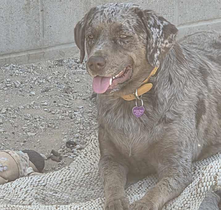 Photo of Cinnamon