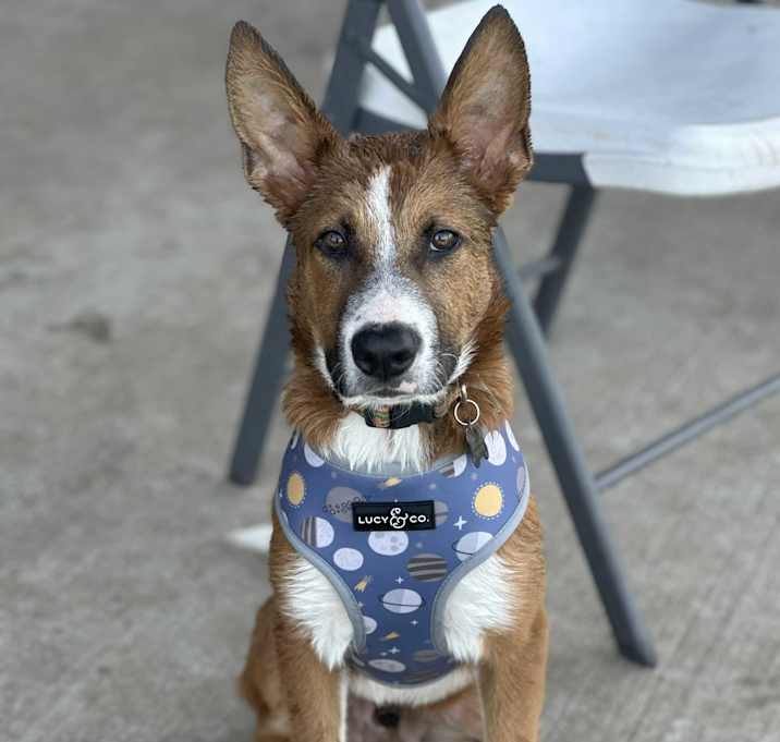 Photo of Kino