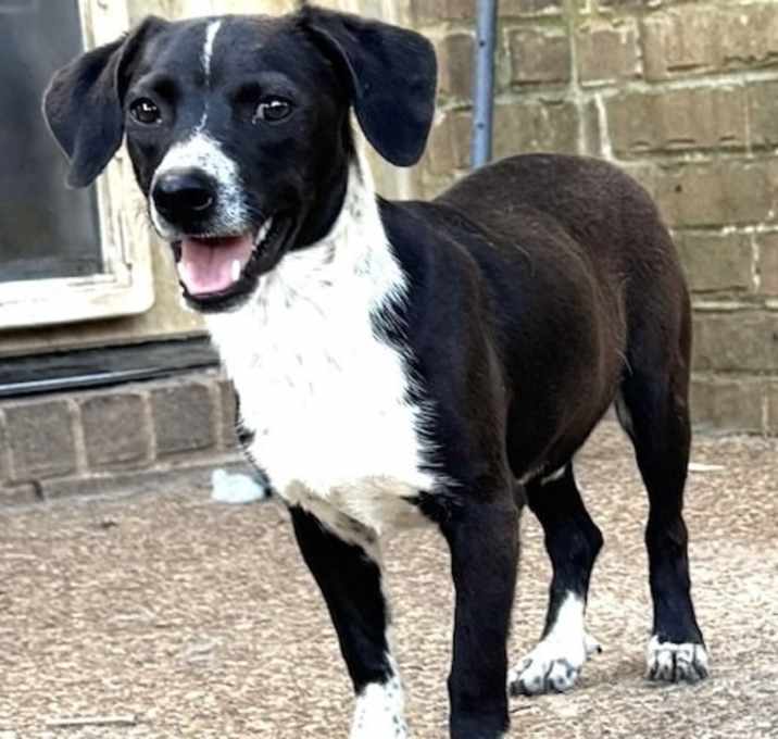 Photo of Jake