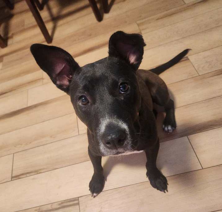 Photo of Ripken
