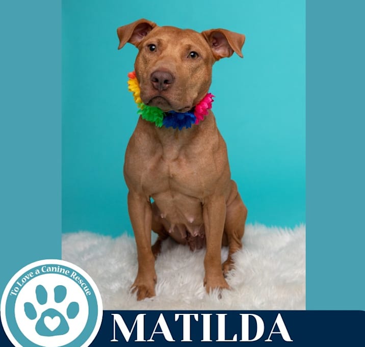 Photo of Matilda (Mom to Matilda's Muffins) 060725