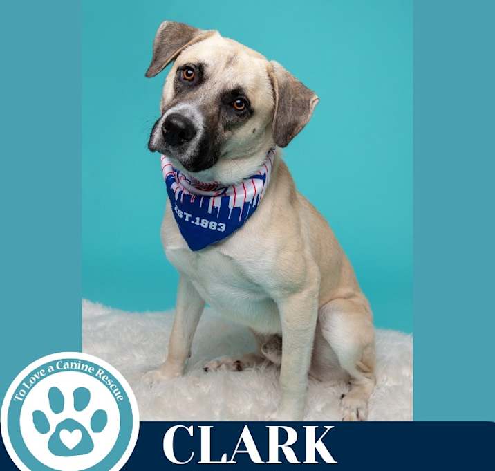 Photo of Clark 062825