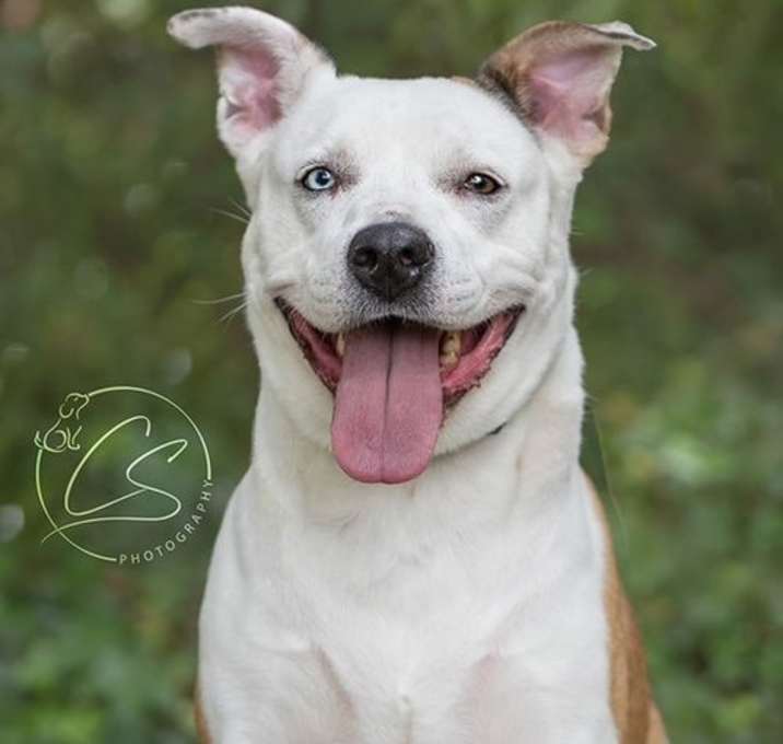 Photo of Luna Girl