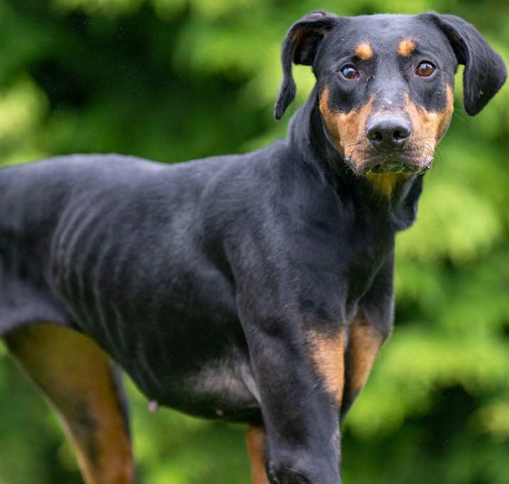 Photo of Tess