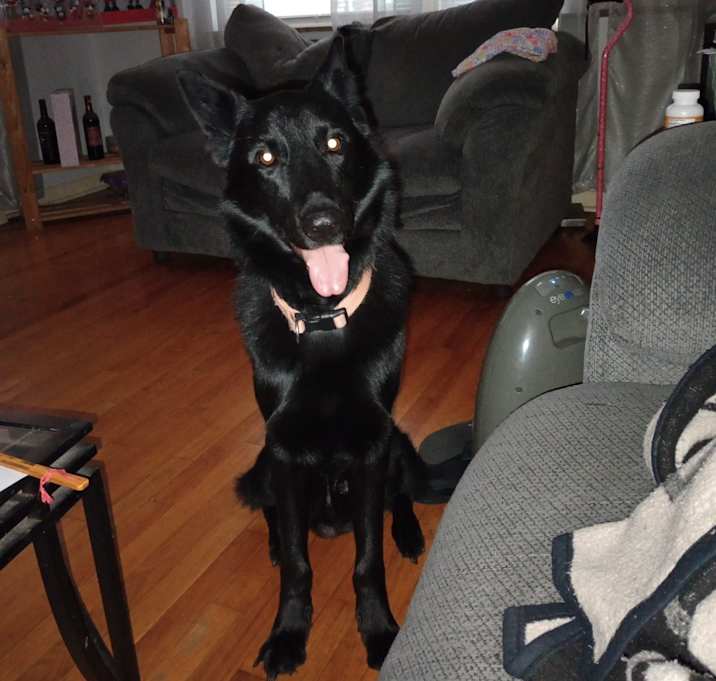 Photo of Zeus