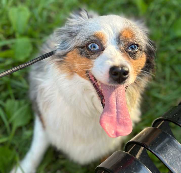 Photo of Bridget