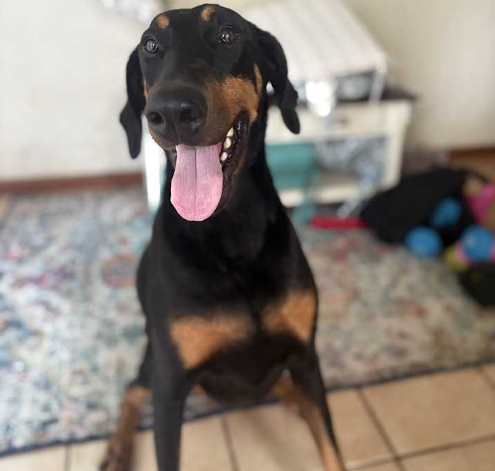 Photo of Heidi