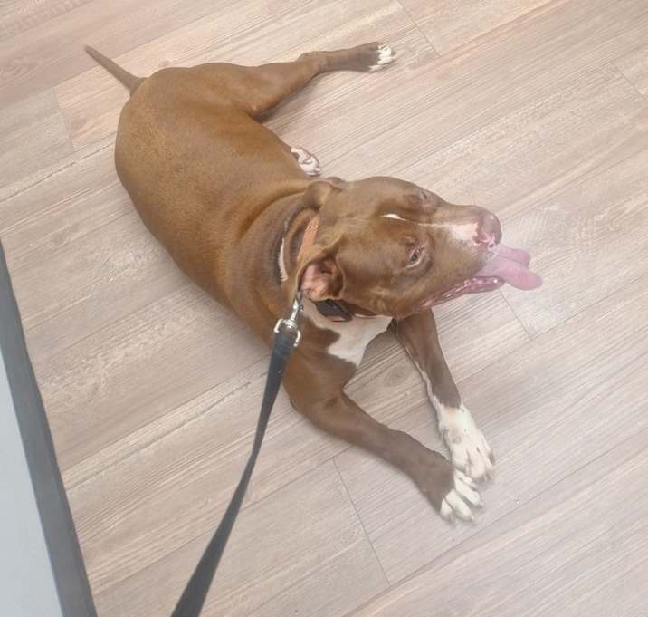Photo of Rico