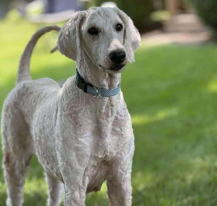 Photo of Sandy