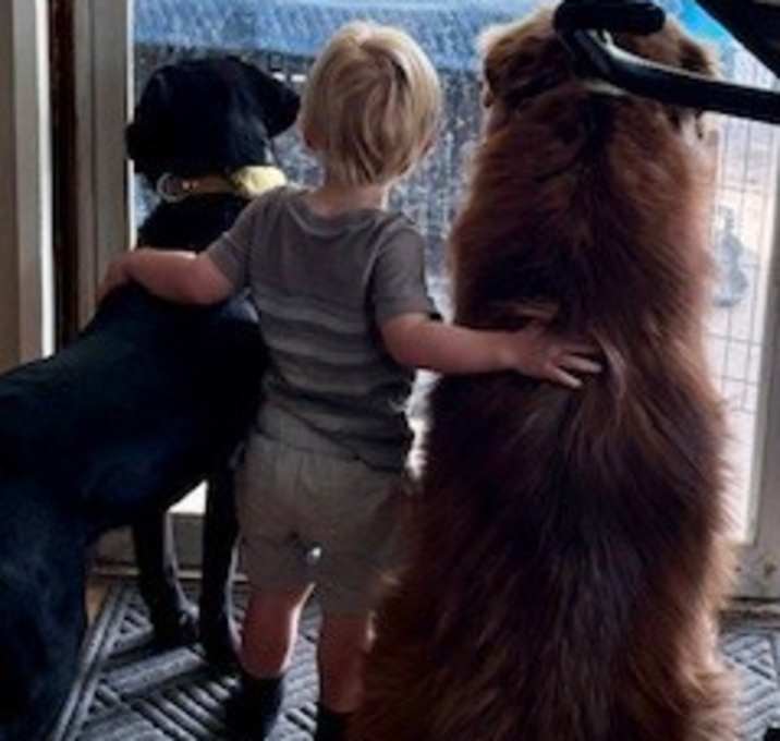 Photo of Bear