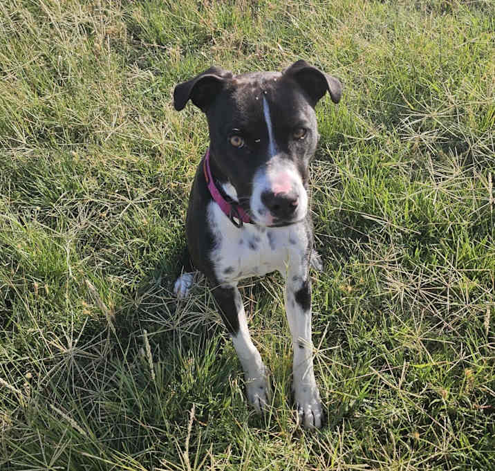 Photo of Tilly