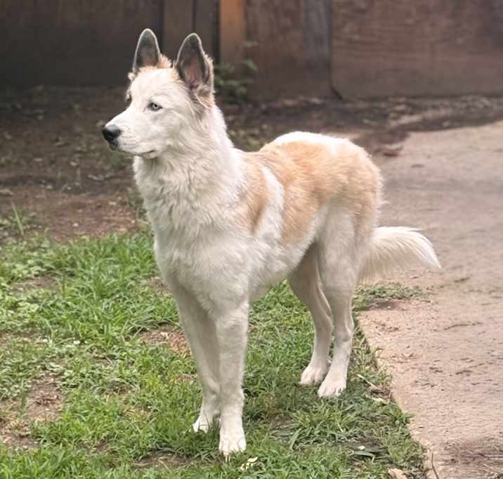Photo of Blu