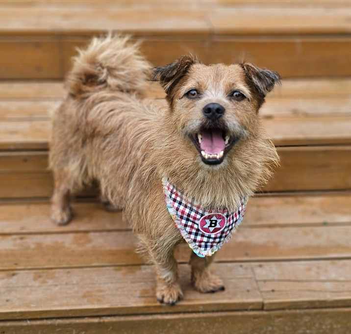 Photo of Charlie