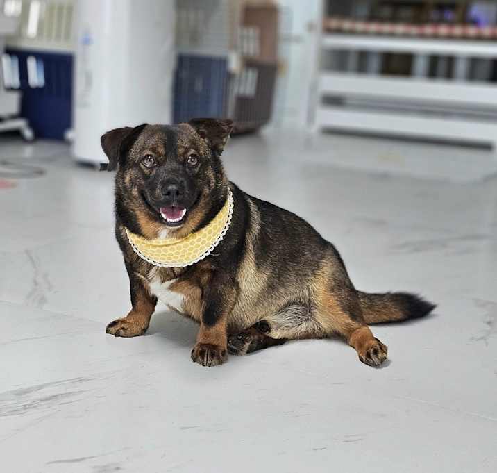 Photo of Choco