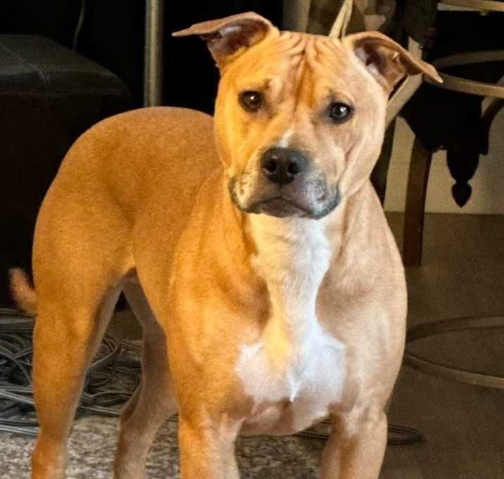 Photo of Dewey