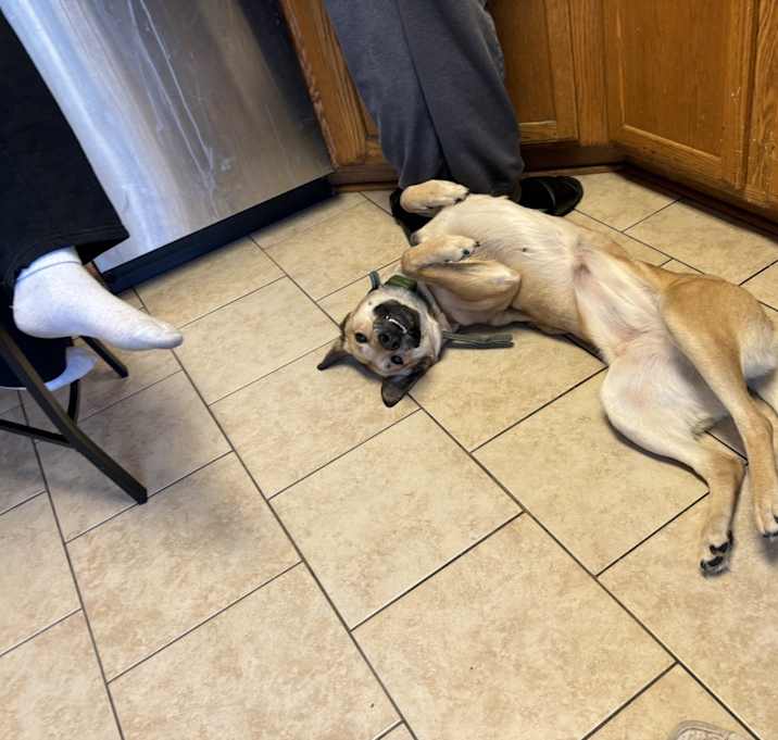Photo of Hazel