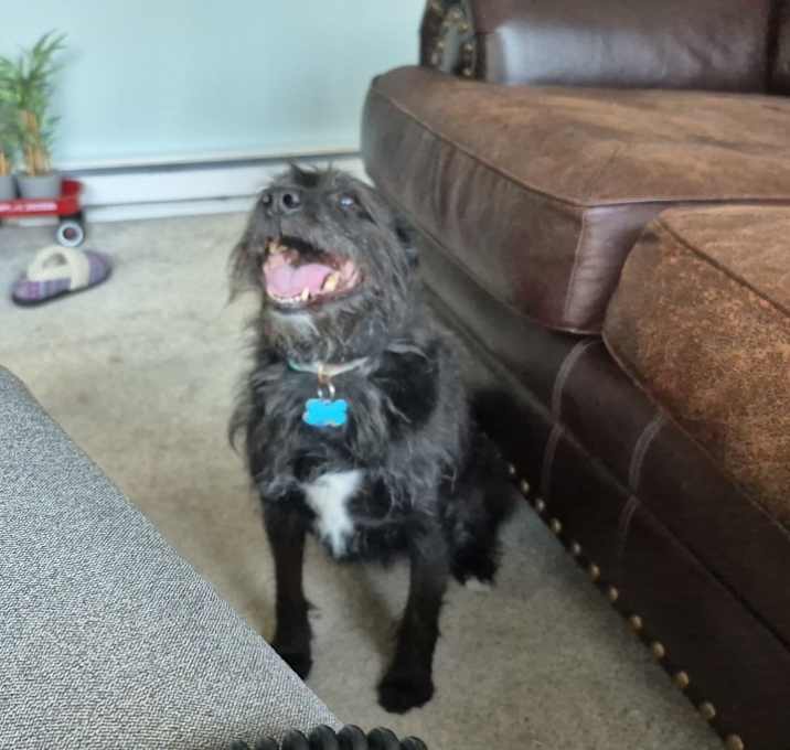 Photo of Hattie