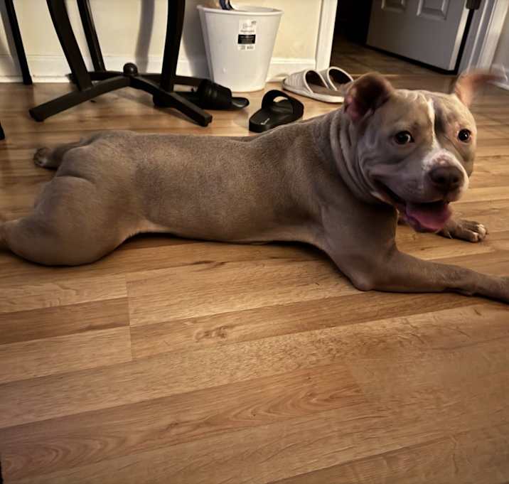 Photo of Luna