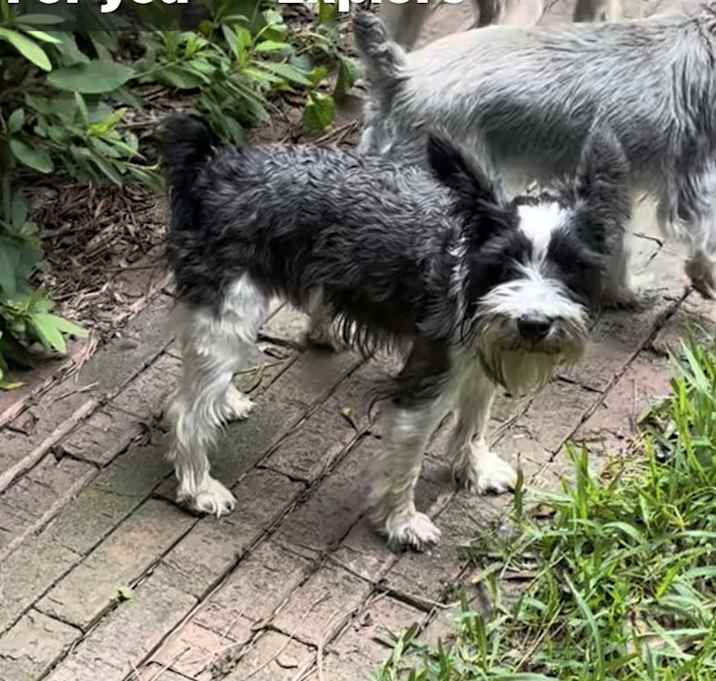 Photo of MURPHY
