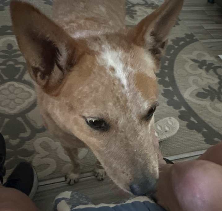 Photo of Bella