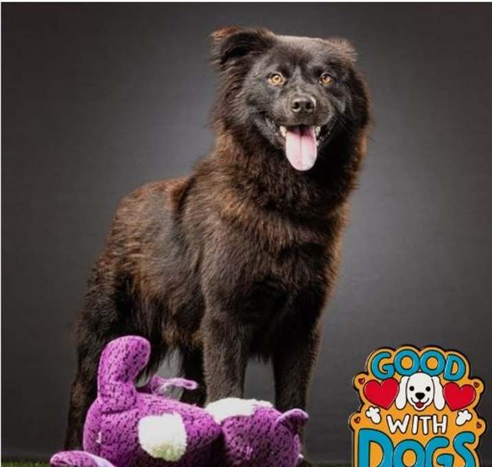 Photo of Mortimer