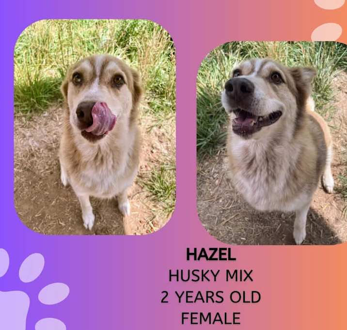 Photo of Hazel