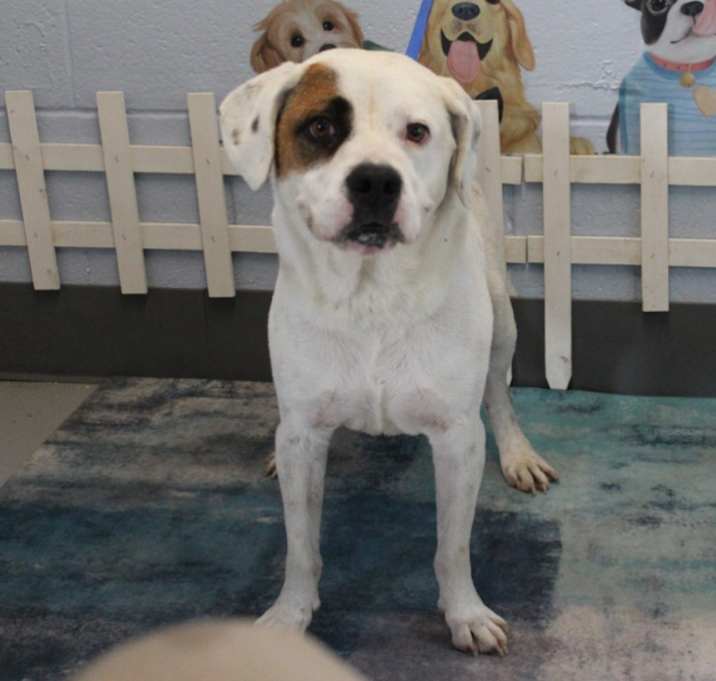 Photo of Tracker URGENT HELP NEEDED !