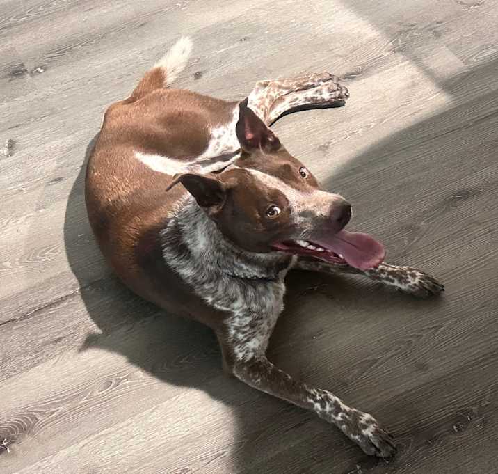 Photo of Blue