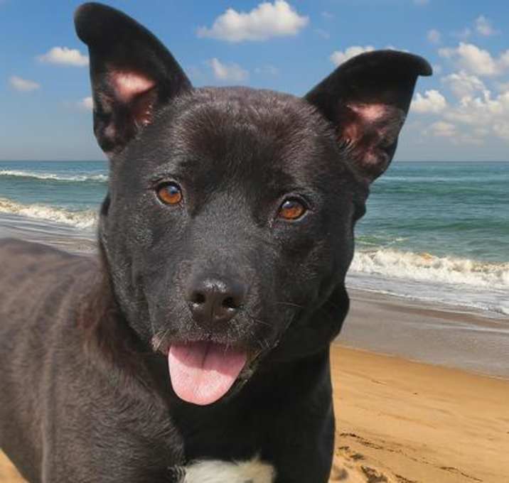 Photo of Wesley