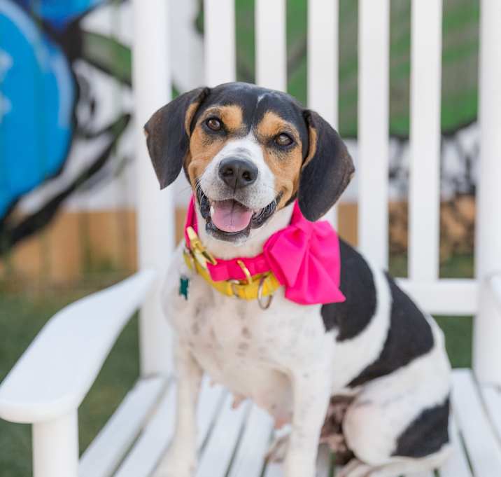 Photo of Bentley