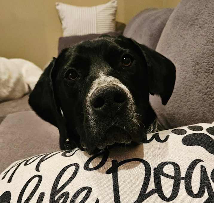 Photo of Dakota