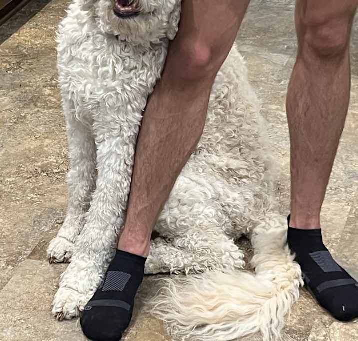 Photo of Charlie