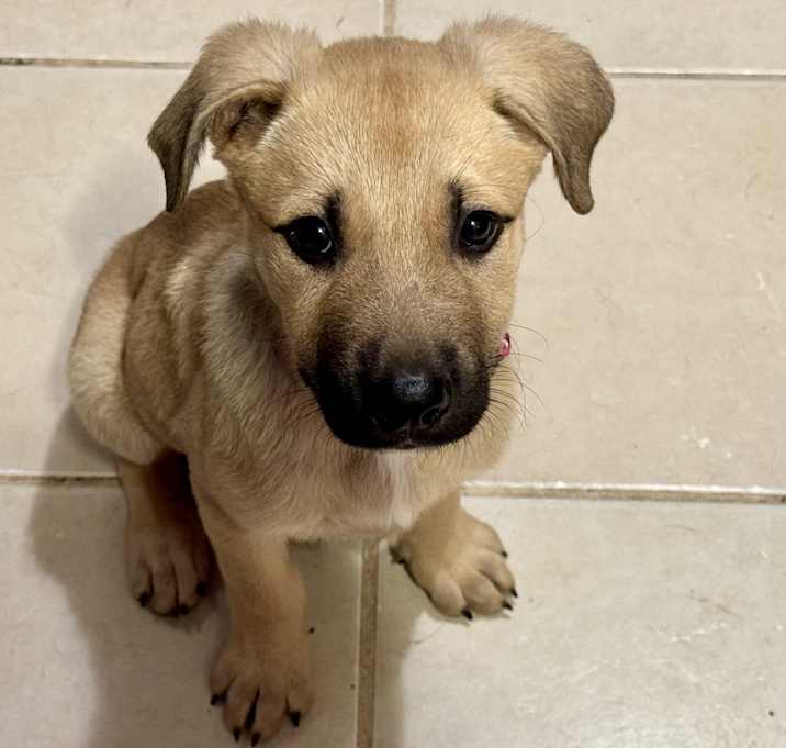 Photo of Alpha