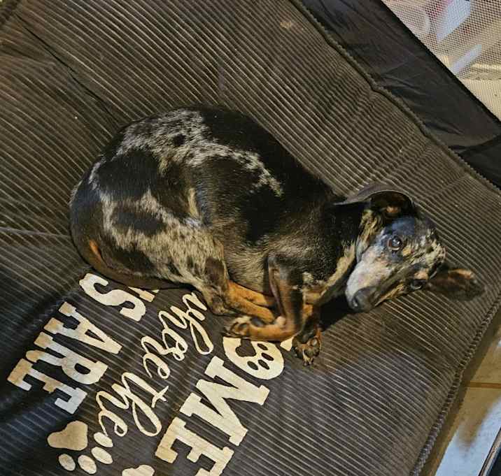 Photo of Jager