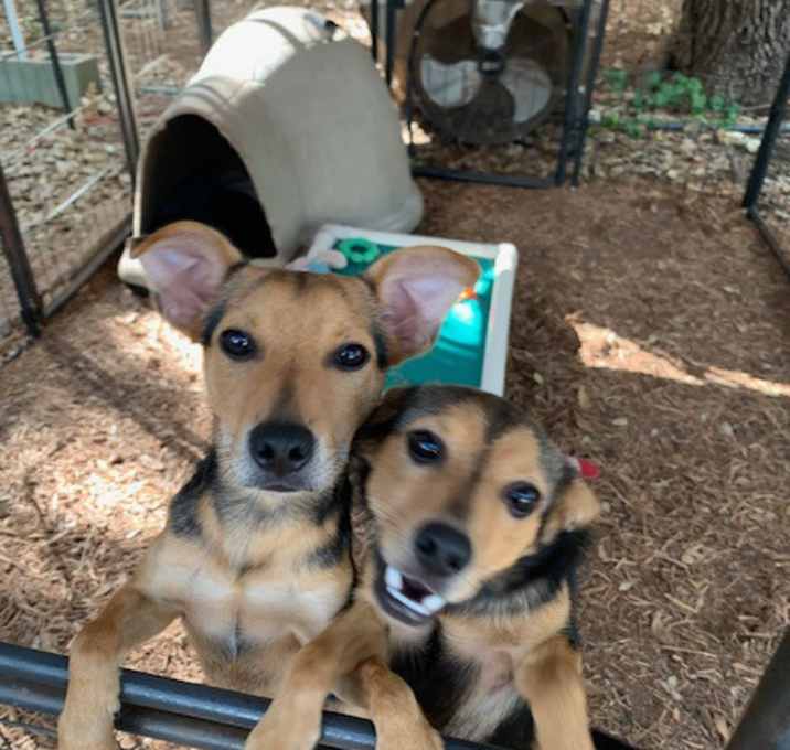 Photo of Bean & Sprout
