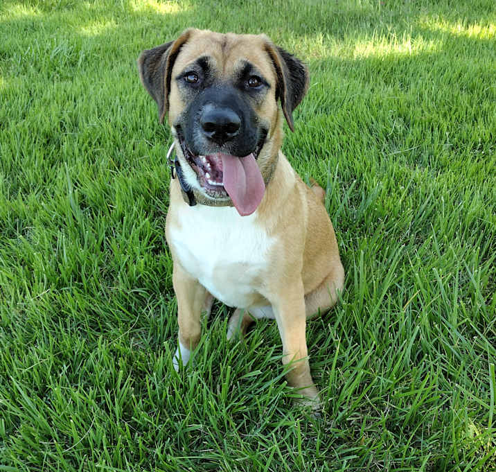 Photo of A Princess
